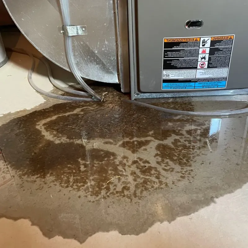 Pipe Burst and Leak Restoration in Loganville, PA