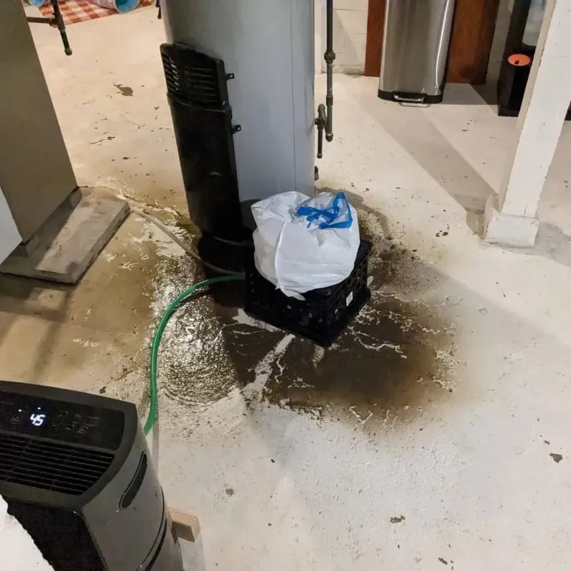 Sewage Backup Cleanup Service in Loganville, PA